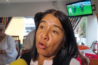 La presidenta de la Comisión de Salud de la Cámara de Diputados, Miroslava Sánchez (Morena). (ARCHIVO)