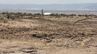 La sequía se acentuó en la Sierra Madre Occidental y en el norte.