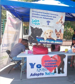 Control Canino y voluntarios generan campañas de adopción.