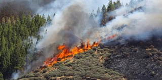 Cabe destacar que desde hace 10 días se han presentado conflagraciones en Gran Canaria, en primer lugar se tuvo un incendio forestal el 10 de agosto en Artenara que dañó mil 163 hectáreas. (ARCHIVO)