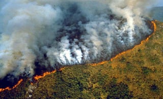 Increpado por decenas de personas al grito de la 'Amazonia se quema', el ministro de Medio Ambiente de Brasil pronunció un breve discurso de apenas cinco minutos y subrayó el respeto del gobierno por el equilibrio y preservación del medioambiente. (ESPECIAL)