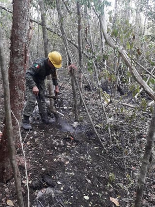 La Comisión Nacional Forestal (Conafor) informó que se ha logrado el 90 por ciento de control y 70 por ciento de liquidación del incendio forestal “Uaimil” en la Reserva de la Biosfera Sian Ka’an, en Quintana Roo. (TWITTER)