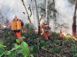 Las llamas en la selva devoran sin cesar el Amazonas en medio de una creciente indignación popular, una tragedia que las organizaciones ecologistas achacan a la 'retórica antiambiental' del presidente de Brasil, Jair Bolsonaro. (EFE)
