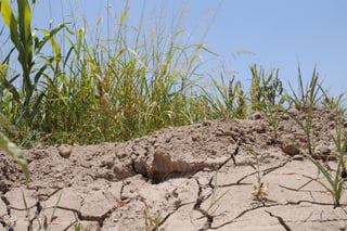 El gobernador de Durango, José Rosas Aispuro, dijo que se ha avanzado en los trámites para la Declaratoria de Emergencia por sequía. (EL SIGLO DE TORREÓN) 