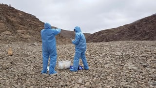 Los profesores Armado Azúa-Bustos y Carlos González-Silva, con trajes estériles, que recolectan muestras de microorganismos en la cordillera costera del desierto de Atacama. (EFE)