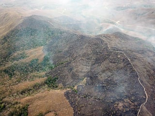 Bolsonaro está bajo una creciente presión internacional para contener los incendios en la zona del río Amazonas. (EFE)