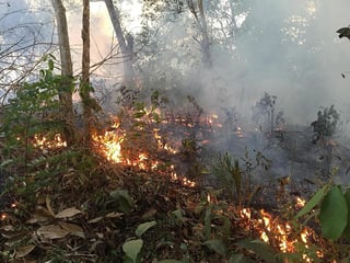La nota ha sido difundida en momentos en que los incendios en la vasta región amazónica siembran alarma en la comunidad internacional. (EFE)