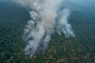 En un comunicado, la Cancillería se unió al llamado urgente a la región y a la comunidad internacional para realizar acciones que frenen los incendios que afectan a la zona de la Amazonas, considerada como el bosque tropical más grande el mundo.
(AP)