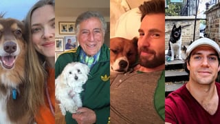 Algunos famosos no pudieron dejar pasar este Día Internacional del perro y en sus redes sociales han compartido fotografías con sus canes. (ESPECIAL) 