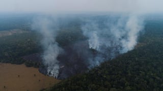 Los países que forman parte del Grupo de los Siete prometieron dar 20 millones de dólares para ayudar combatir las llamas en la Amazonia y proteger la selva. (EFE)