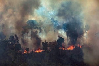 Entre el 1 y el 24 de agosto se detectaron unos cuatro mil incendios, mientras que durante el mismo periodo del año pasado la cifra fue tan solo de mil 110. (ARCHIVO)