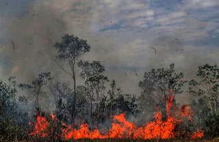 De acuerdo con la ESA, del 1 al 24 de agosto, en el Amazonas detectaron casi cuatro mil incendios. (ARCHIVO)