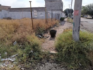 Mediante un recorrido se pudo apreciar el terreno sobre la calle Mulegue y avenida Allende, donde esta suciedad se hace más evidente. (EL SIGLO DE TORREÓN)