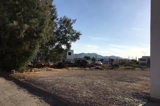 Los árboles 'desaparecieron' de un día para otro en el fraccionamiento Exhacienda Los Ángeles. (CUAUHTÉMOC TORRES)