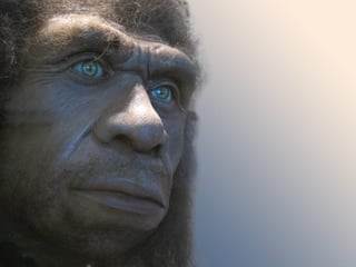 Un estudio de huellas de 80,000 años de antigüedad en Normandía (Francia) ha revelado algunas pistas sobre la estructura social de los neandertales, principalmente sobre su tamaño y composición. (ESPECIAL)