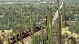 El Monumento Nacional Organ Cactus Pipe, en Arizona, conocido como el hogar de los majestuosos y gigantescos cactus saguaros. (ESPECIAL)