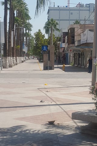 La Coordinación del Paseo Morelos pidió el retiro de los bolardos vandalizados. Ahora 'pegan' decenas de boyas. (YOLANDA RÍOS)
