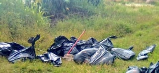 Al menos 17 bolsas con restos humanos fueron encontradas en un camino rural del municipio de Tala, en el occidental estado mexicano de Jalisco, a unos cinco kilómetros del lugar donde se halló recientemente una fosa con al menos 29 cuerpos, informó este viernes la Fiscalía estatal. (ESPECIAL)