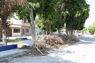No recogen los desechos. Los vecinos denunciaron que han acudido a podar árboles, pero parte de la basura permanece todavía en el lugar, incluso invadiendo parte de la calle. (FERNANDO COMPEÁN)
