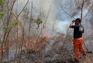 Más de cin mil personas entre bomberos, voluntarios ayudan a sofocar los incendios. (ARCHIVO)