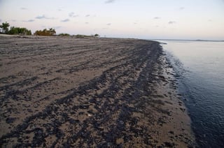 Un informe de la petrolera estatal brasileña Petrobras dice que el crudo que ha estado contaminando las playas del noreste de Brasil, proviene de Venezuela. (ARCHIVO)