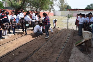 Buscan que alumnos aprendan a hacer el huerto hidropónico. (EL SIGLO DE TORREÓN / MARY VÁZQUEZ)
