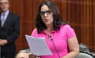  La diputada Martha Olivia García Vidaña, de Morena, denunció ante el pleno de la Cámara que este miércoles, al salir de la sesión fue víctima de un asalto con arma de fuego en las inmediaciones de la alcaldía Venustiano Carranza. (ESPECIAL)