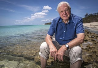 Attenborough, camino de los 94 años, se encarga de 'encontrar las palabras adecuadas' para explicar la serie de siete documentales que produce la cadena británica BBC y que se estrena en España el próximo 31 de octubre en Movistar. (ARCHIVO)