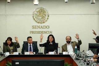 En primera instancia los senadores Emilio Álvarez Icaza, Martí Batres, Martha Lucía Micher y Citlali Hernández rechazaron esta primera terna por considerar que hay perfiles que no cumplen con indicadores de idoneidad y autonomía. (EL UNIVERSAL)