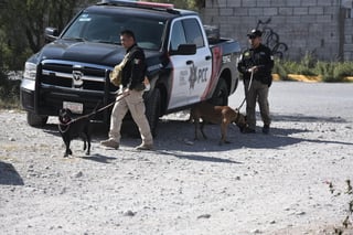 La Agencia de Investigación Criminal de la Fiscalía fue auxiliada por dos binomios caninos de la Policía Estatal. (EL SIGLO COAHUILA)