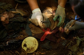 Los forenses han dejado al descubierto al menos cinco cráneos, múltiples huesos y la ropa que usaban las víctimas. (EFE)