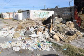 Tiraderos en sectores muy habitados. Los carromateros no tienen control y han creado sus propios depósitos de basura en terrenos baldíos o simplemente en las calles de la colonia.