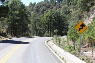 La carretera Durango-Hidalgo del Parral se encuentra en la lista del proyecto del Presupuesto. (EL SIGLO DE TORREÓN) 