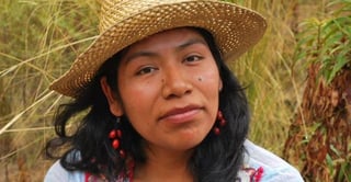 Comenzó a ser agredida tras denunciar tala ilegal a la Profepa. (ARCHIVO)