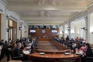 El Consejo Permanente de la OEA convocó a un análisis urgente. (EFE) 