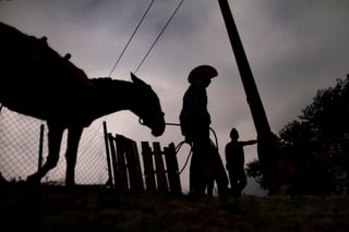 Autoridades de la comunidad Zaragoza la Montaña, ubicada al norte del municipio de Comitán de Domínguez (Chiapas), encarcelaron a un burro por encontrarse sin dueño y al parecer haber causado destrozos en una parcela. (ARCHIVO)