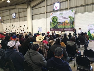 Se realizó la Feria de Proveedores para beneficiarios del programa federal Sembrando Vidas, en el municipio de Gómez Palacio. (FABIOLA P. CANEDO/EL SIGLO DE TORREÓN)