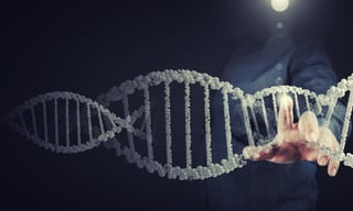 Investigadores han conseguido extraer un genoma humano completo a partir de un 'chicle' de resina de abedul con 5,700 años de antigüedad. (ARCHIVO) 