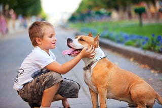 Las personas expuestas a un perro como mascota antes de cumplir 13 años tienen hasta 24 por ciento menos probabilidades de ser diagnosticadas con esquizofrenia. (ESPECIAL)