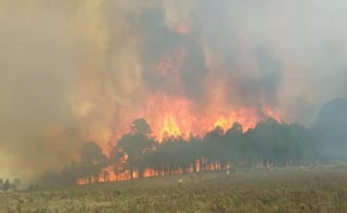 En 2019, Veracruz se ubicó en la posición onceava en el nivel nacional en cuanto al número de incendios forestales. (AGENCIAS)
