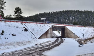La Coordinación Nacional de Protección Civil emitió la Declaratoria de Emergencia para el estado de Durango, luego de la nevada severa que ocurrió el 31 de diciembre del 2019 al 2 de enero del presente año. (ARCHIVO)