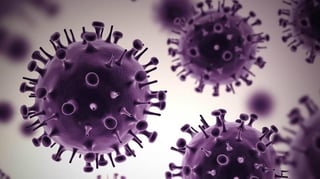 La titular de la Secretaría de Salud de Tamaulipas, Gloria Molina, declaró que la prueba por coronavirus al médico de 57 años, que viajó el 25 de diciembre a la región de Wuhan (China) resultó negativa.  (ARCHIVO)