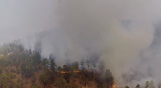 El año pasado hubo más de 64 mil hectáreas afectadas por los incendios forestales; para este año se espera que la cifra disminuya. (EL SIGLO DE TORREÓN) 