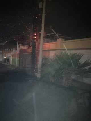 Las rachas de viento de hasta 50 kilómetros por hora que se registraron en el transcurso de la tarde noche de ayer en Gómez Palacio, dejaron un saldo de tres árboles caídos en distintos sectores del municipio además de dos incendios relacionados con esta corriente de aire. (ANGÉLICA SANDOVAL)