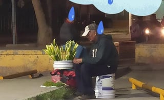 Internautas intentan ayudar al hombre con su venta ambulante de flores (CAPTURA)  