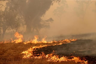 Los incendios forestales tienen una consecuencia para las comunidades que se presentará con el tiempo: la contaminación química generalizada de la infraestructura hídrica. (ARCHIVO) 