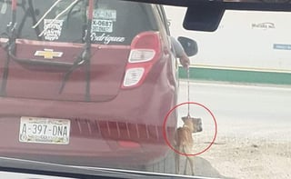 Usuarios hicieron llegar a esta casa editora imágenes que muestran al perro ser jalado por una pareja a bordo de un taxi (CAPTURA) 