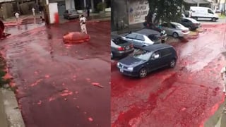 Las calles terminaron inundadas de miles de litros de sangre (CAPTURA) 