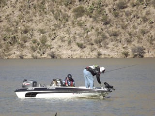 En la presa 'El Palmito', decenas de participantes buscan los mejores ejemplares de lobina, para buscar los primeros lugares en el certamen. (ARCHIVO)