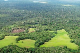 En 18 años fueron destruidos 305,457 kilómetros cuadrados de bosques en Brasil. (ARCHIVO) 